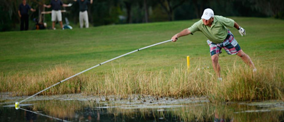 Golf Retriever In Action