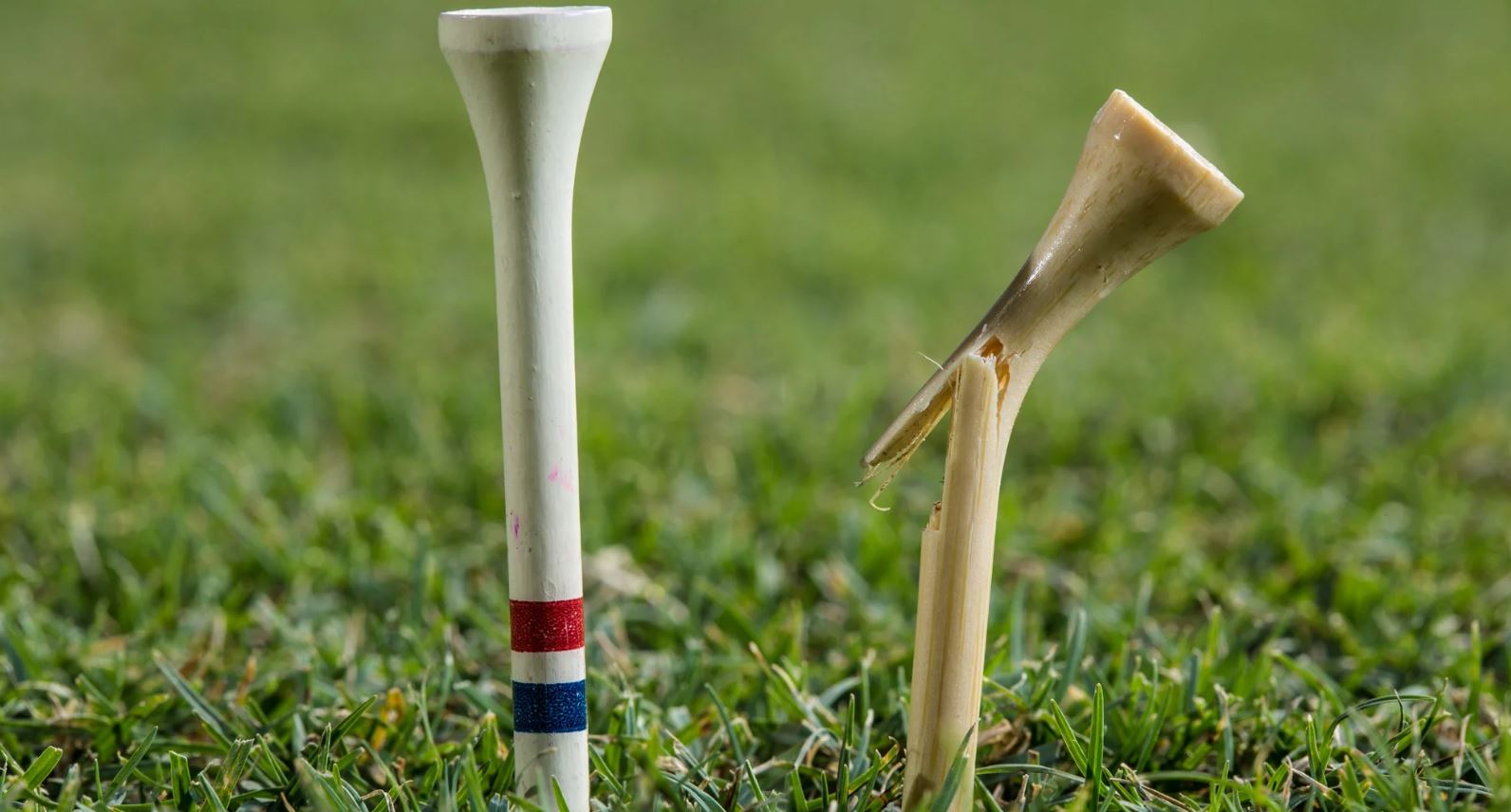 Do Golf Tees Make A Difference – Or Does It Even Matter? - The Expert Golf  Website