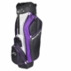 Ray Cook Ladies Silver Ray Complete Golf Set1
