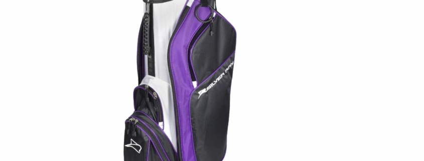 Ray Cook Ladies Silver Ray Complete Golf Set1