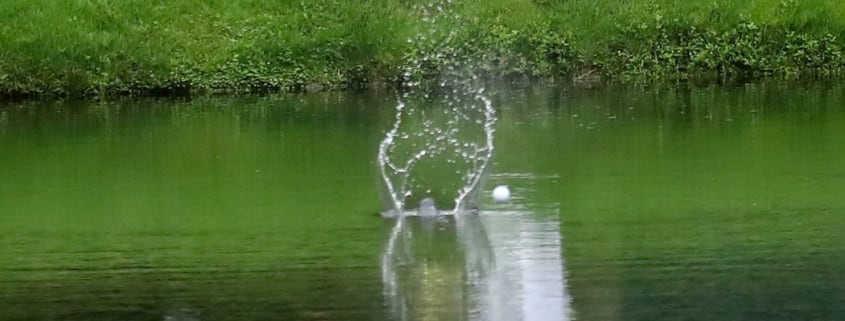 Waterlogged Golf Ball