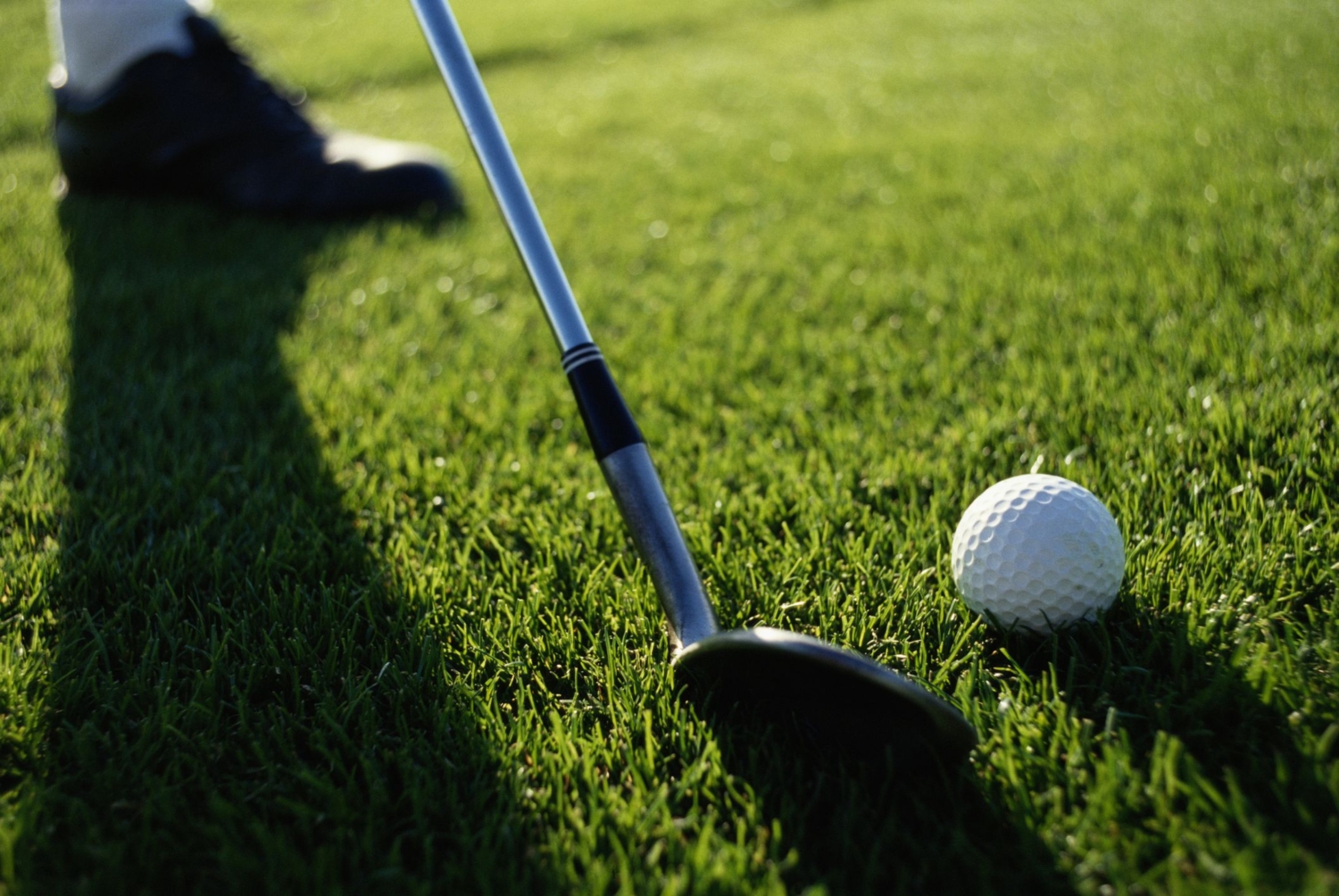 Should High Handicappers Use Graphite Or Steel Shafts - The Expert Golf ...